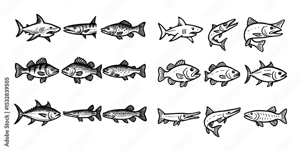Fototapeta premium Predatory Fish Icons