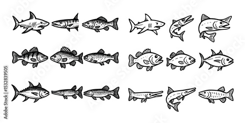 Predatory Fish Icons