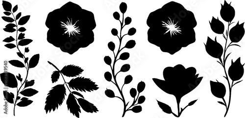 Floral and hexagon pattern set featuring swirl and leaf designs for decorative projects