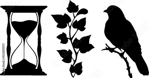 Timeless silhouettes: hourglass, ivy tendril, and crow