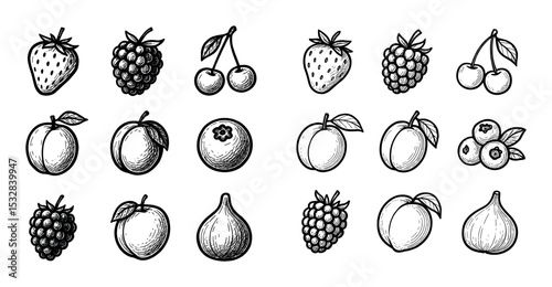 Jam Fruit Icons