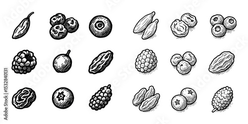 Dried Berries Icons