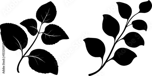 Botanical elements of mint sprigs with leaf swirls and stem curls for nature-inspired designs