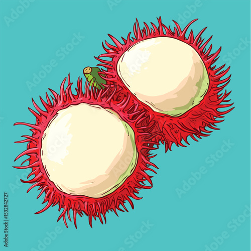 Two Halved Rambutans with Green Stem Detail and Red Spiky Exterior