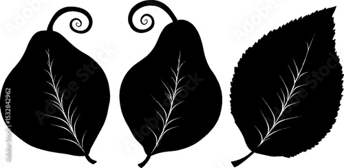 Pear silhouette set with leaf vein and spiral elements for design