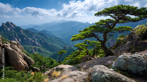 Pines Clinging To Rocky Ridge In Yunnan'S Shangri-La With Mountain Views And Forest Below