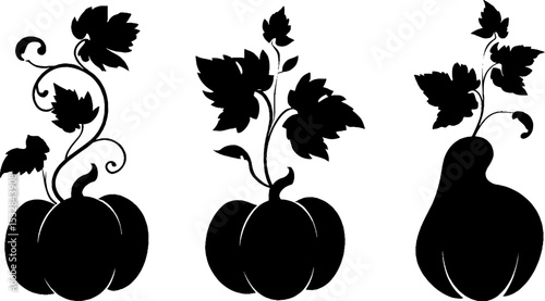 Autumn pumpkin silhouettes with vine curls and leaves for seasonal decorations