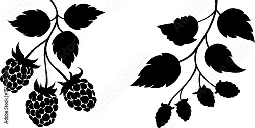 Raspberry cluster and vine swirl with leaf silhouette design for nature projects