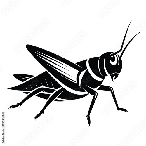 Stylized black and white grasshopper illustration