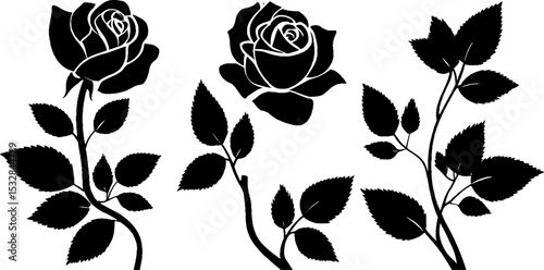 Elegant rose blooms with vine curls and leaf swirls for floral design projects
