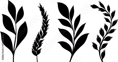 Botanical silhouette design of rye stalks and leaves for nature-themed projects
