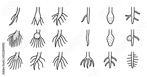 Root Hair Icons