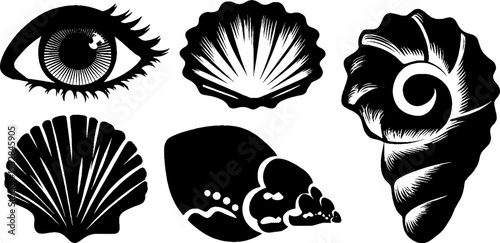 Nautical elements with eye, spiral shell, and wave design for creative projects