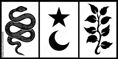 Mystical symbols of snake coil, star arc, and moon crescent for spiritual design
