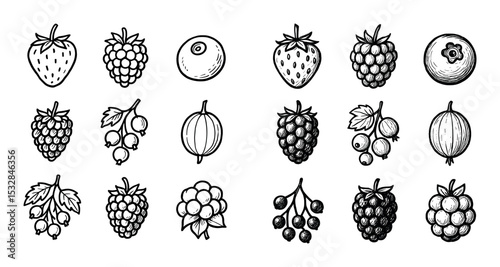 Berry Sketch Icons