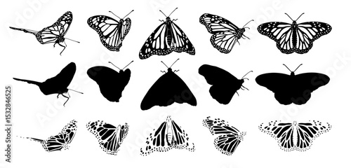Hand drawn black silhouette monarch butterflies clip art set. Beautiful monochrome tropical insects designs bundle. Vector illustration