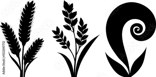 Artistic teff grass and grain arrangement with leaf swirl design