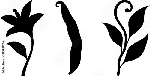 Vanilla pod and flower design elements for botanical art and aromatic themes