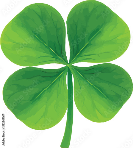 clover leaf