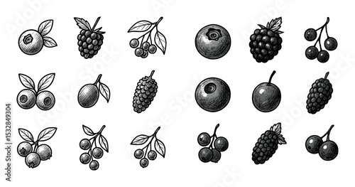 Berry Icons Grid