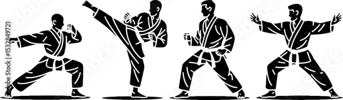 Karate Martial Arts Poses White Belt Training Sequence
