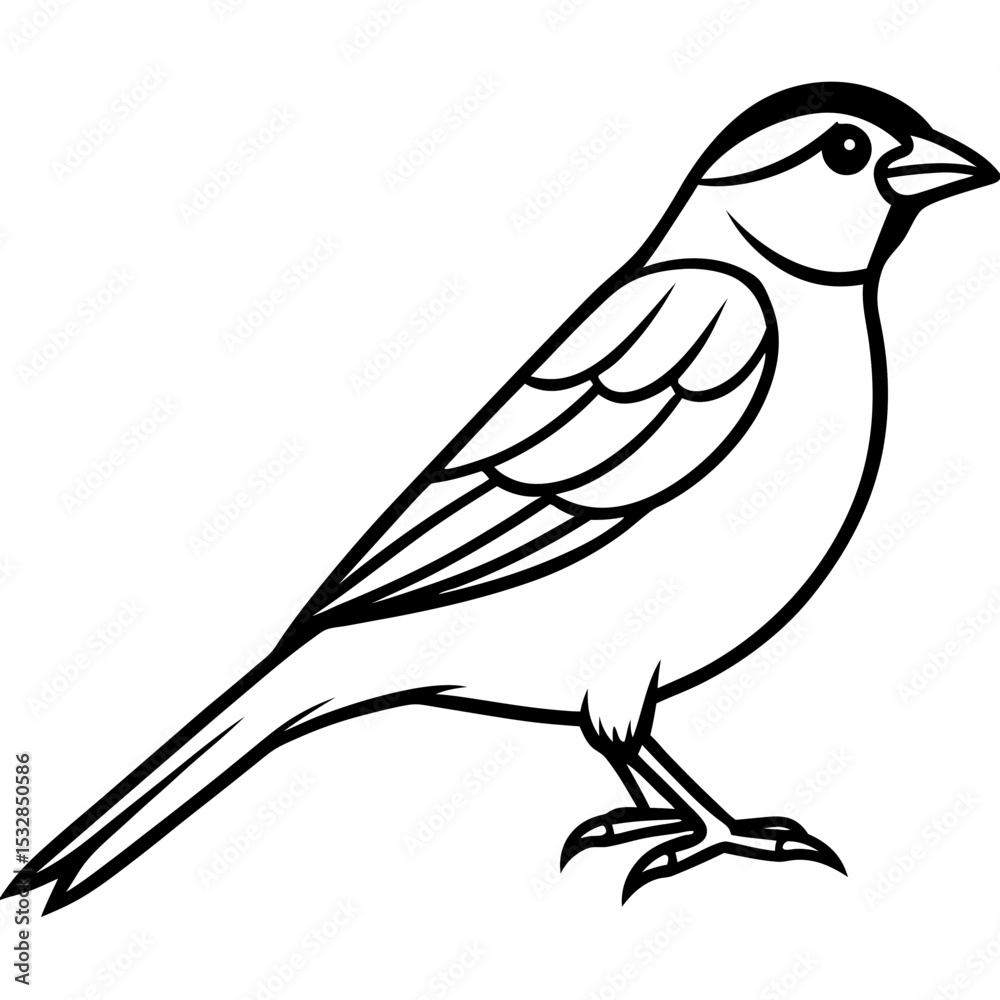Obraz premium Sparrow Shape line art vector