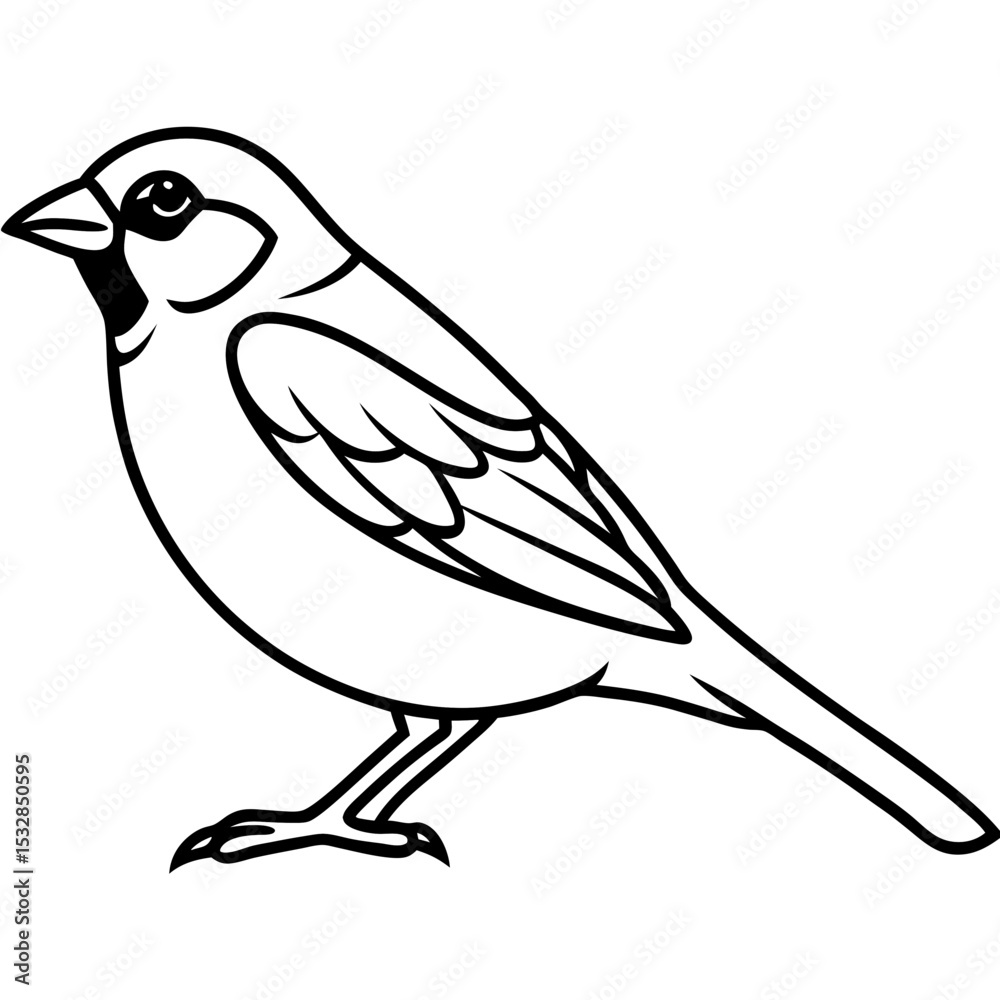Fototapeta premium Sparrow Shape line art vector