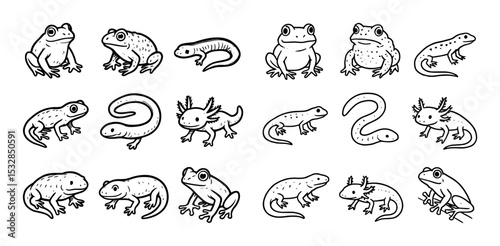 Amphibian Icon Grid