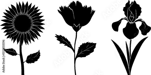 Floral silhouettes featuring sunflower, daisy, and iris blooms for botanical designs