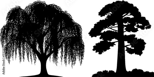 Silhouette of willow and cypress trees for nature design and decoration