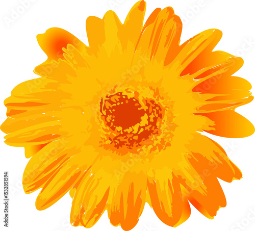 Fototapeta Naklejka Na Ścianę i Meble -  Gerbera daisy is radiating vibrant yellow orange petals in flat design, transparent backdrop