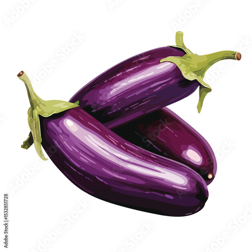 Fresh Purple Eggplant - Nutrient-Rich Vegetable for Healthy Cooking and Balanced Diet
