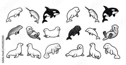 Marine Mammal Icons