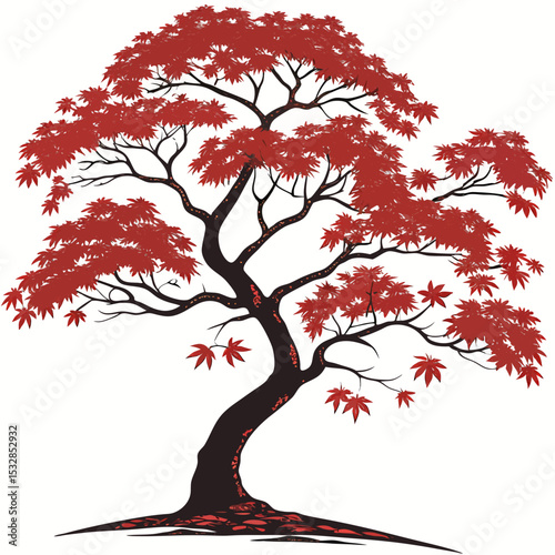 Crimson maple tree autumnal elegance illustration