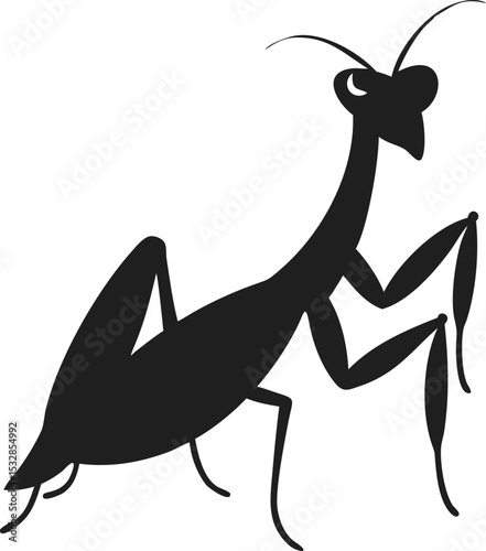 Mantis silhouette agile insect known for its predatory stance and distinctive forelegs