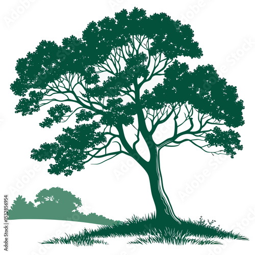 Single deciduous tree silhouette in landscape