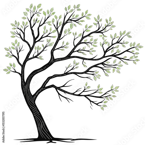 Photos Elegant hand drawn spring tree illustration