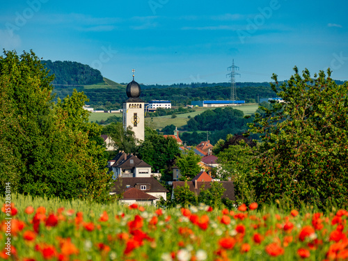 Klatschmohnfeld bei der Melanchthonstadt Bretten photo