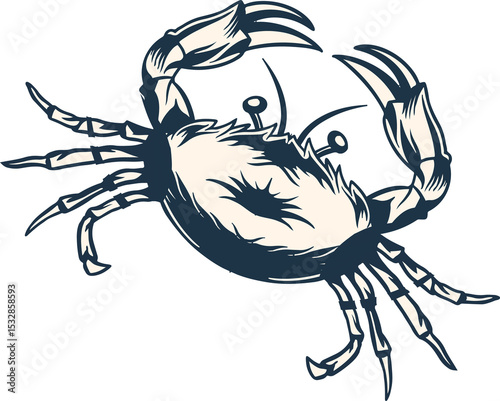 Stylized crab is being shown from above in flat vector design with raised claws, clear background