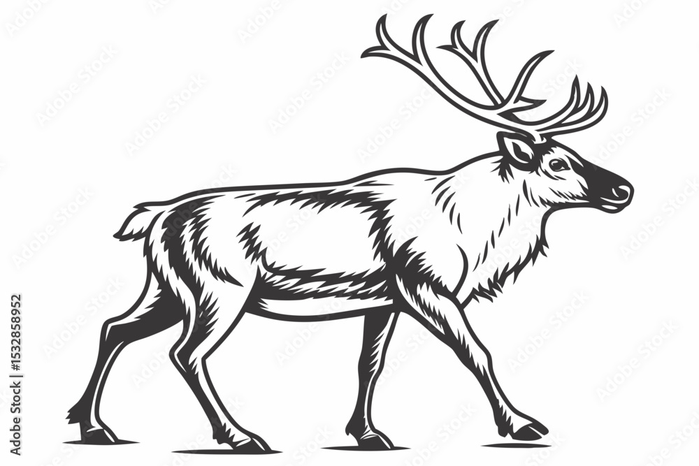 Fototapeta premium caribou sihouette black vector