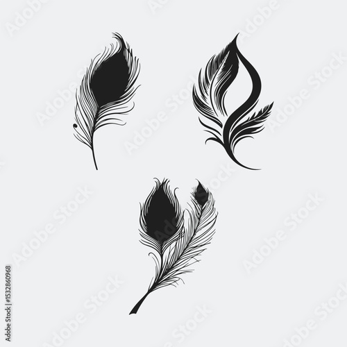 set of black feathers