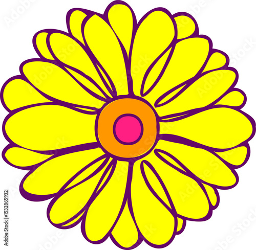 Fototapeta Naklejka Na Ścianę i Meble -  Flat flower is showing yellow petals, purple outlines, orange pink center on transparent background