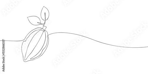 Simple continuous line art of a cocoa pod with two leaves, ideal for chocolate, organic food, or agricultural concepts.