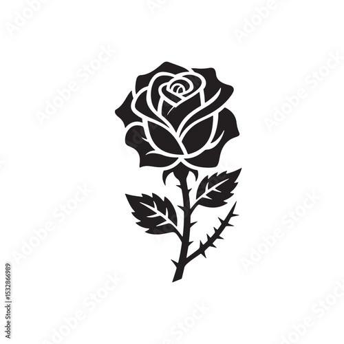 black rose isolated on white silhouette 