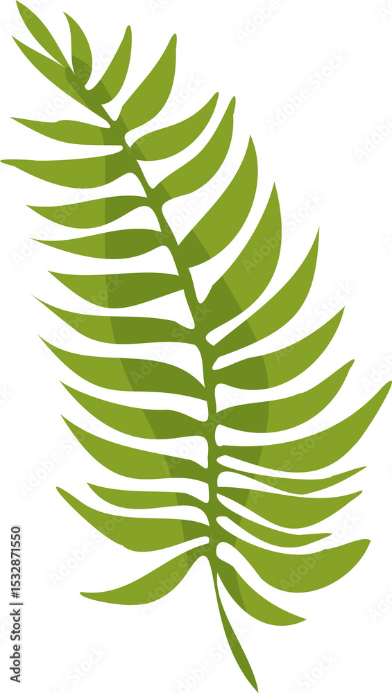 Stylized fern frond is being shown in flat vector design with transparent background Stylized fern frond is being shown in flat vector design with transparent background