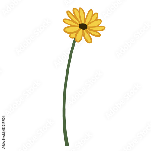 Stylized yellow daisy bloom is floating on transparent background with petals and curved stem