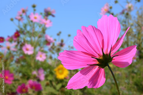Garten 1504