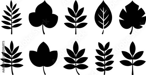 Leaf vector set black and white botanical foliage nature elements plant silhouette graphic design illustration 100 editable stock vector illustration