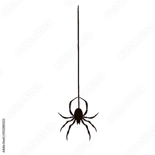 Spider silhouette is dangling from thin silk thread in flat design with transparent background