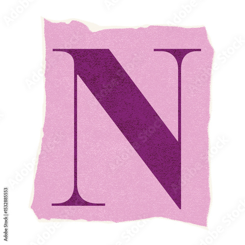 Flat design serif letter N is floating on textured pink torn-paper patch, transparent backdrop